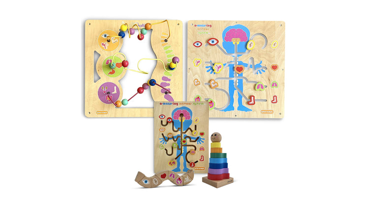 Gorgeous bead & wire and maze wall toys and three lap toys, all made of hard woods and exciting colors.
