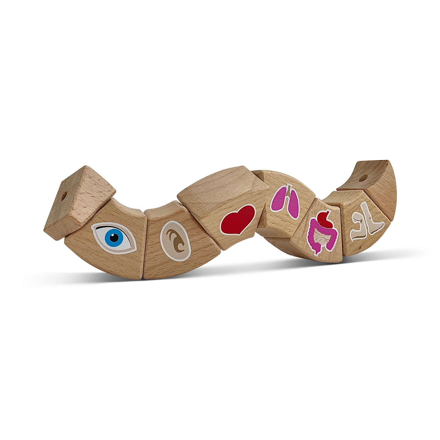 Bendy Spine