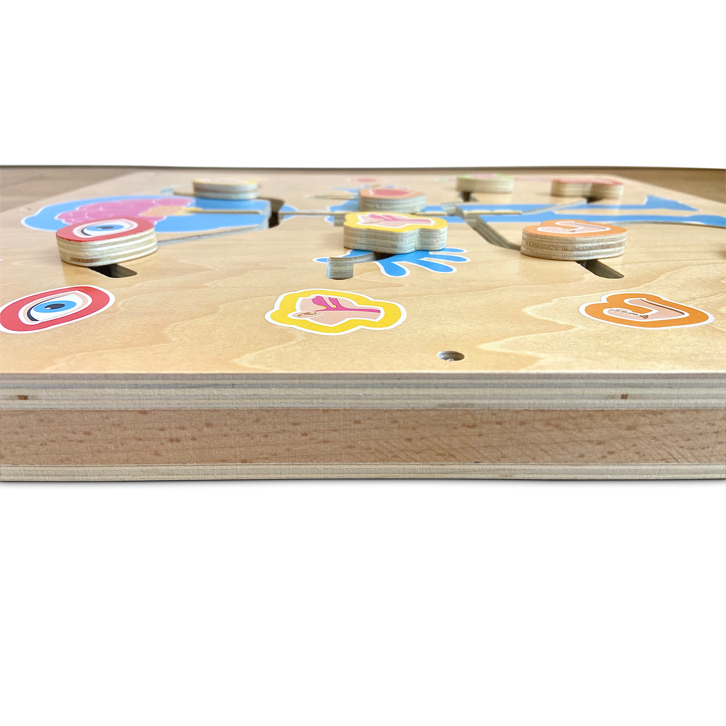 Wall A-maze-ing Nervous System