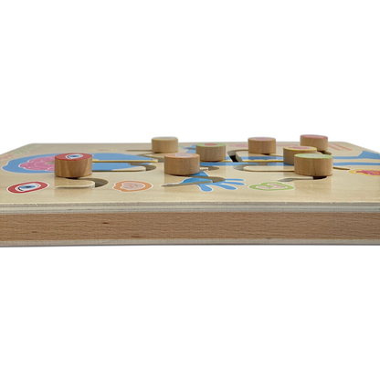 A-maze-ing Nervous System