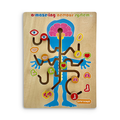 A-maze-ing Nervous System