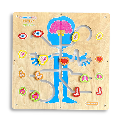Wall A-maze-ing Nervous System